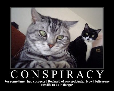 cat+conspiracy.jpg