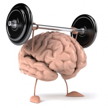 brain+exercise.PNG