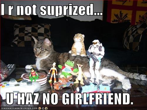lolcat1.jpg