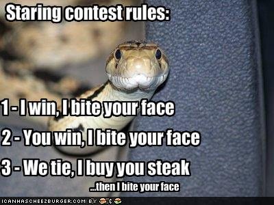 funny-pictures-snake-will-bite-your-face.jpg