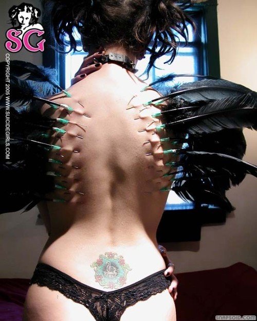 tumblr_ltpeoruWj41r3k6xeo1_500.jpg