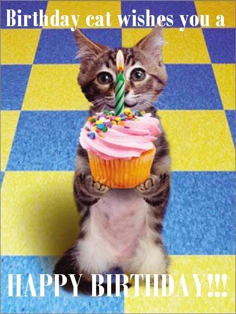 Birthday-Cat.jpg