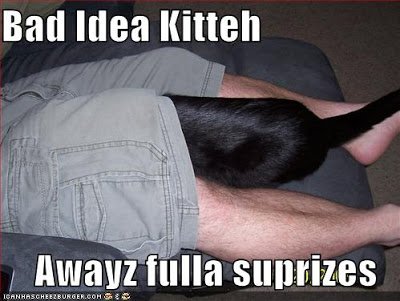 bad+idea.jpg