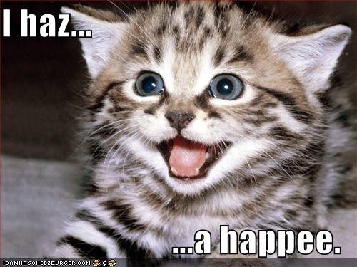 lolcat-happy.jpg