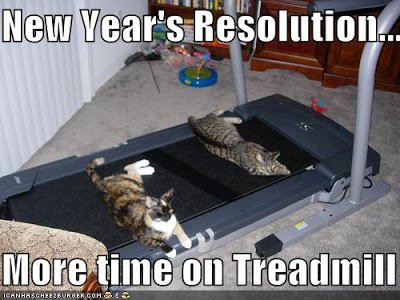 lolcat+new+year.jpg