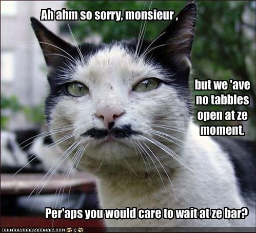 lolcat-french-waiter.jpg