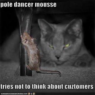 funny-pictures-pole-dancer-mouse-watching-cat.jpeg
