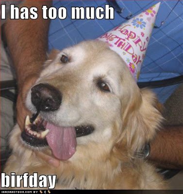 Birthday+Dog.bmp