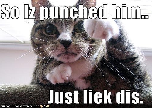 cat-punches.jpg