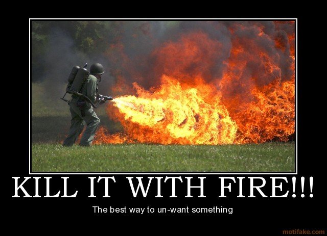 ef6ad1d8_kill-it-with-fire-demotivational-poster-1235695993.jpeg
