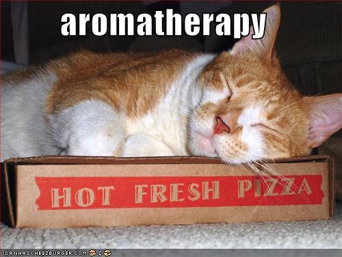 funny-pictures-cat-pizza-aromatherapy.jpg
