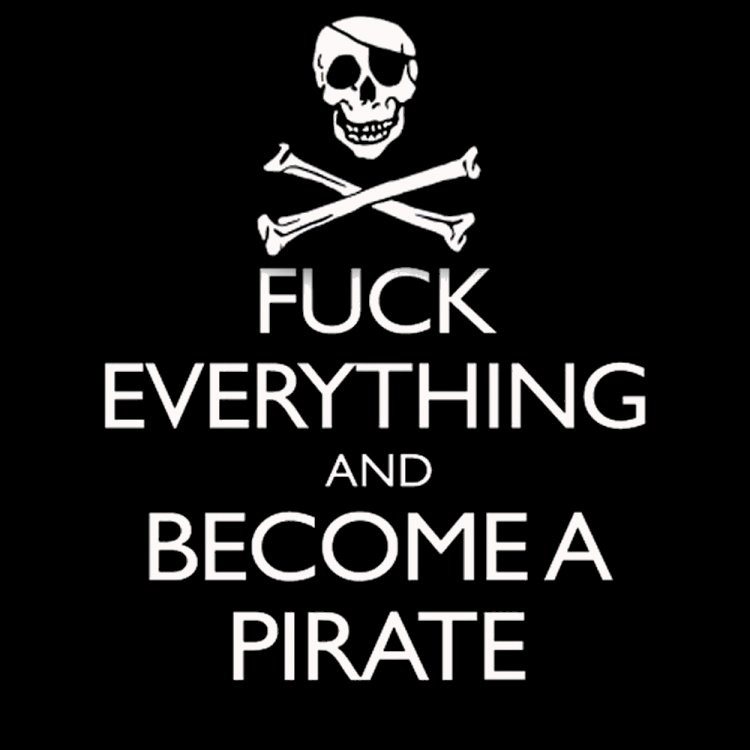 Fuck_everything_and_become_a_pirate_T_Shirt__43773.1349941428.1280.1280.jpg