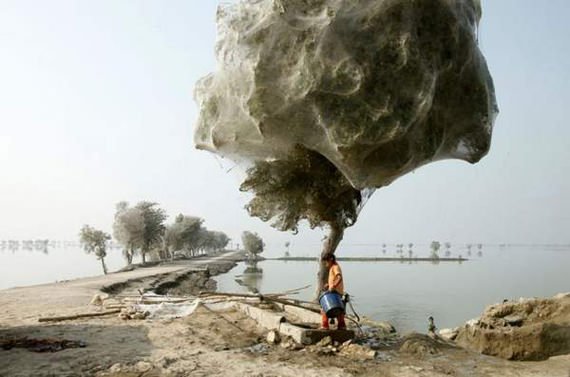 national_geographic_photo_contest_08_mini.jpg