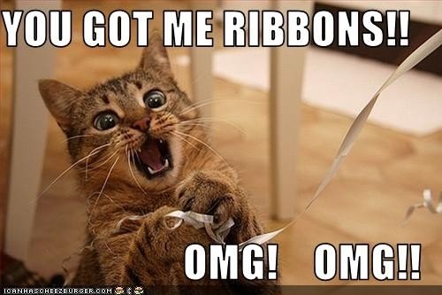 cat-cat-funny-cats-cute-funny-lol-cats-Favim.com-39185.jpg