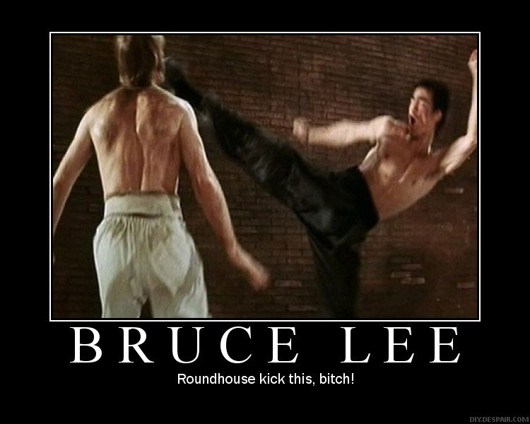 Bruce_Lee_by_DeMotivationalMuch.jpg