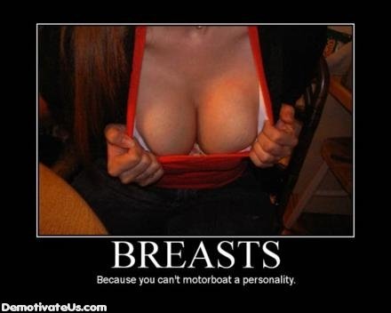 breasts_demotivational_posters_More_Demots-s440x352-189377.jpg