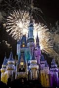 cinderella-castle-spectacular-charles-ridgway.jpg
