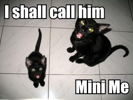i+shall+call+him+mini+me1193876188.jpg