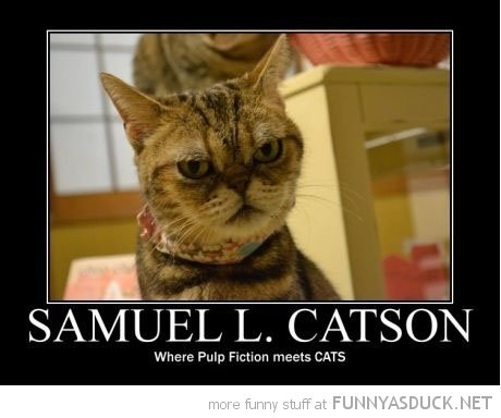 funny-grumpy-angry-cat-samuel-l-catson-pulp-fiction-pics.jpg