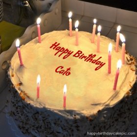 friends-birthday-cake-for-Cato.jpg