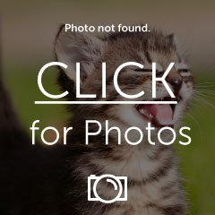 avoid4_zps58836ead.jpg
