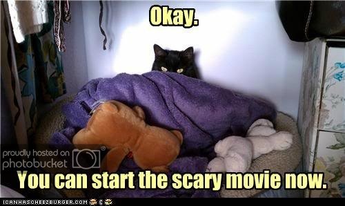 funny-pictures-okay.jpg