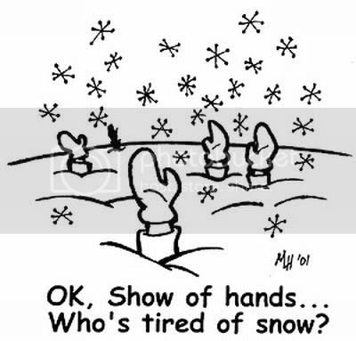 tired-of-snow_zps65d8dfc6.jpg