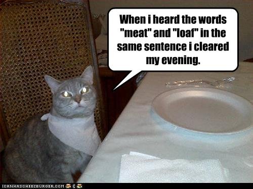 LOLcat+-+Meatloaf.jpg