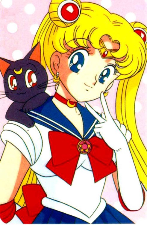 sailormoon-sailor-moon-25379005-502-768.jpg