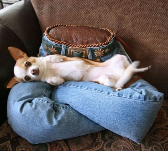 daily_picdump_761_640_76.jpg