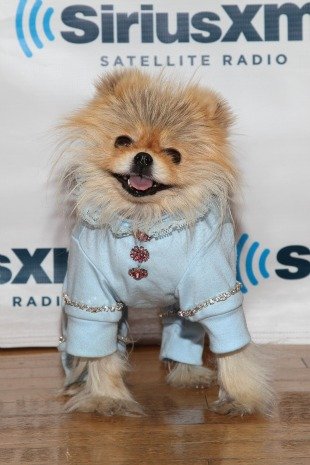 310_giggy_111011.jpg