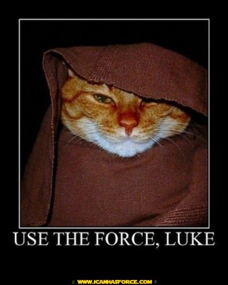 star-wars-motivational-lolcat-obiwan.jpg