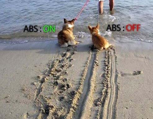 dogs-abs-on-off.jpg
