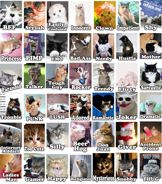 lolcats-tag-image-refaceme.jpg
