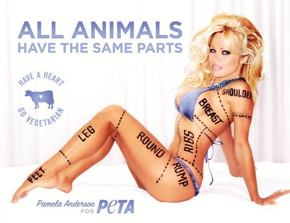 a-scantily-clad-pamela-anderson-starred-in-this-ad-which-was-banned-in-montreal-because-it-was-sexist.jpg