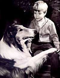 Jon%20Provost%20and%20Lassie.jpg