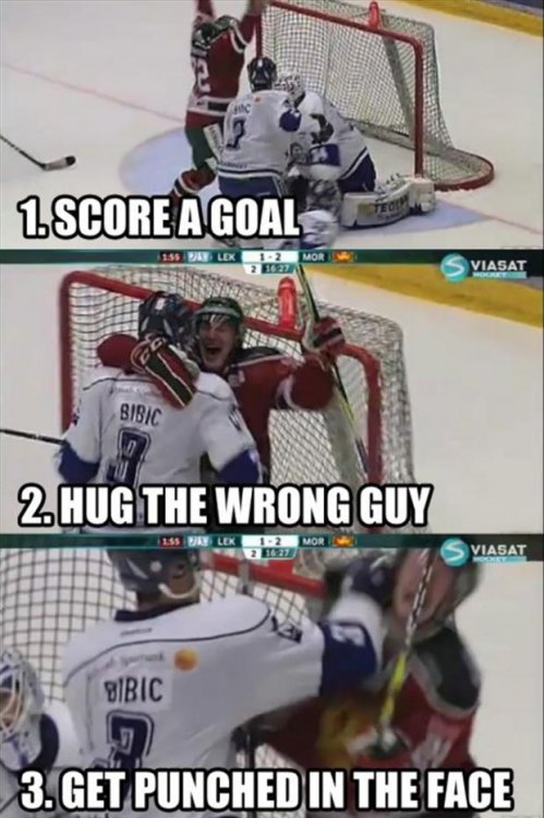 funny-hockey-goal.jpg