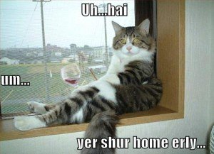 lol-cat-drinking-wine-300x217.jpg