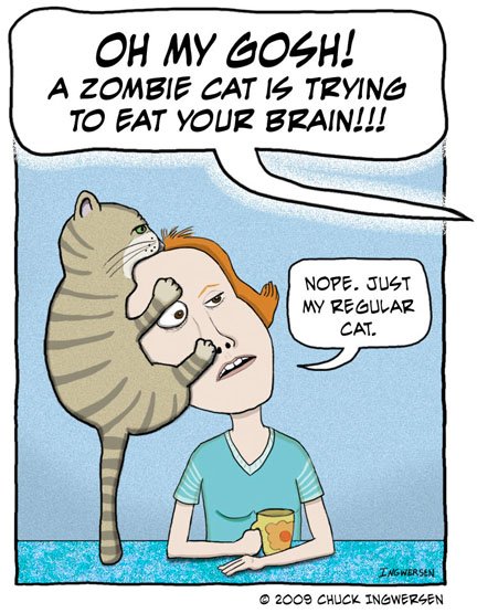 zombie-cat.jpg