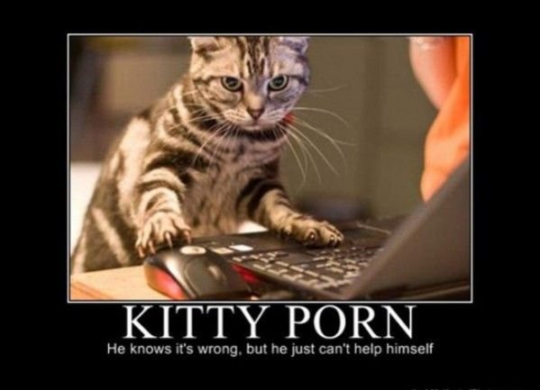 Demotivational-pictures-kitty_Porn.jpg