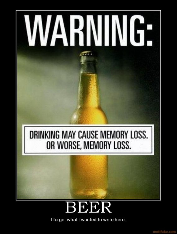 beer-memory-demotivational-poster.jpg