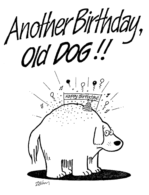 happy-birthday-old-dog-conc.gif