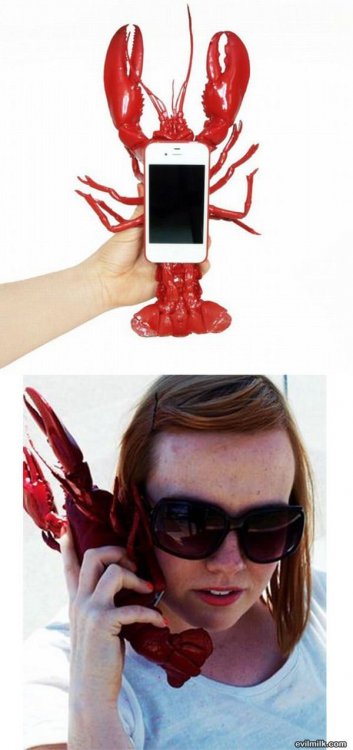 Lobster_Phone.jpg