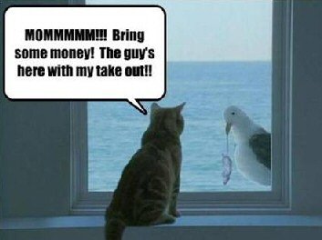 fish_takeaway.jpg