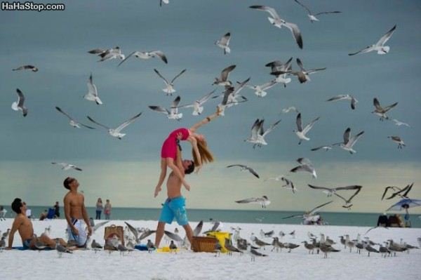 Feed_All_The_Birds.jpg