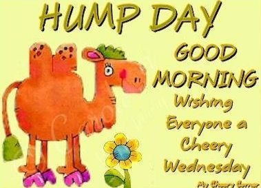 49255-Good-Morning-Hump-Day.jpg