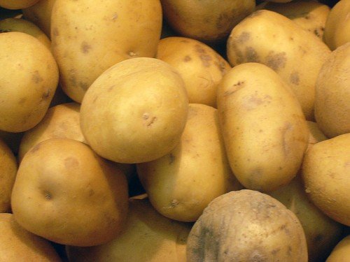 potatoes-500x375.jpg