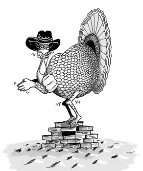 TurkeyCowboy07.jpg