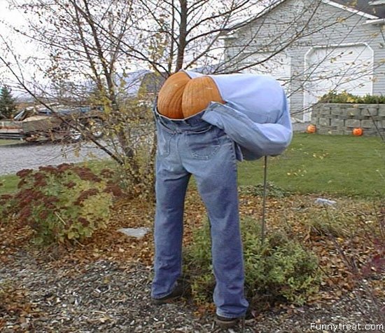 funny_halloween_pictures_4.jpg