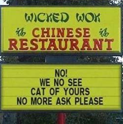 wenoseecatofyours.jpg